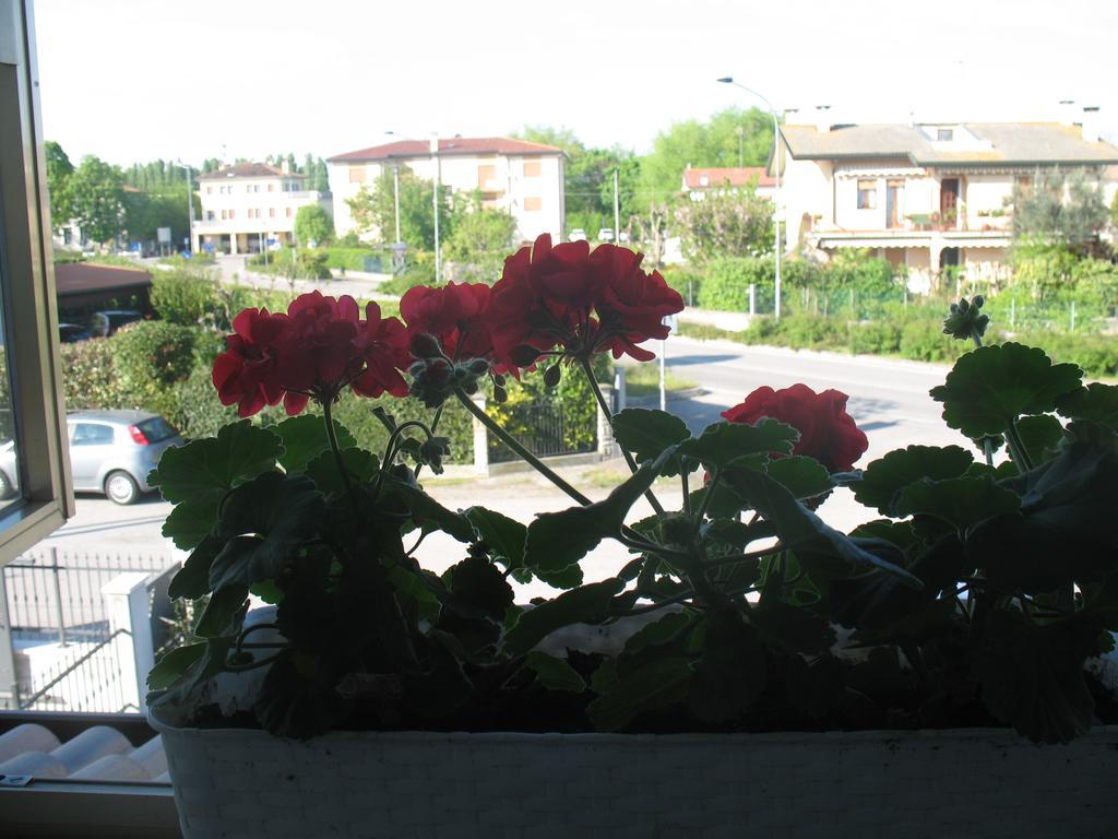 Laguna B&B Quarto dʼAltino Dış mekan fotoğraf
